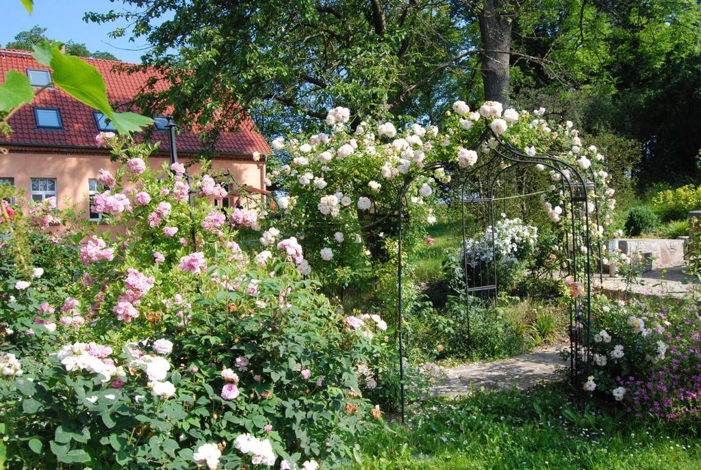 Feriendomizil Alter Garten Temmen-Ringenwalde Eksteriør bilde